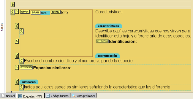 Apariencia de la plantilla tras lo realizado hasta el momento